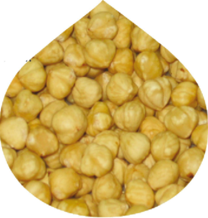 Blanched Hazelnut Kernel