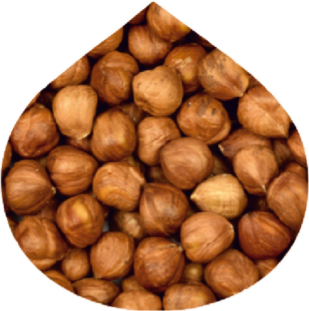 Natural Hazelnut Kernel