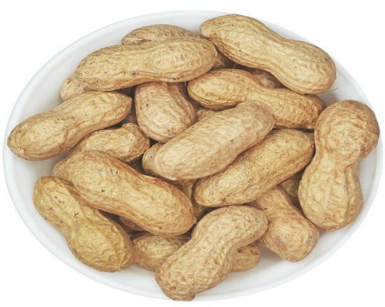 Tuzla Peanuts